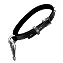 An example of leash handle